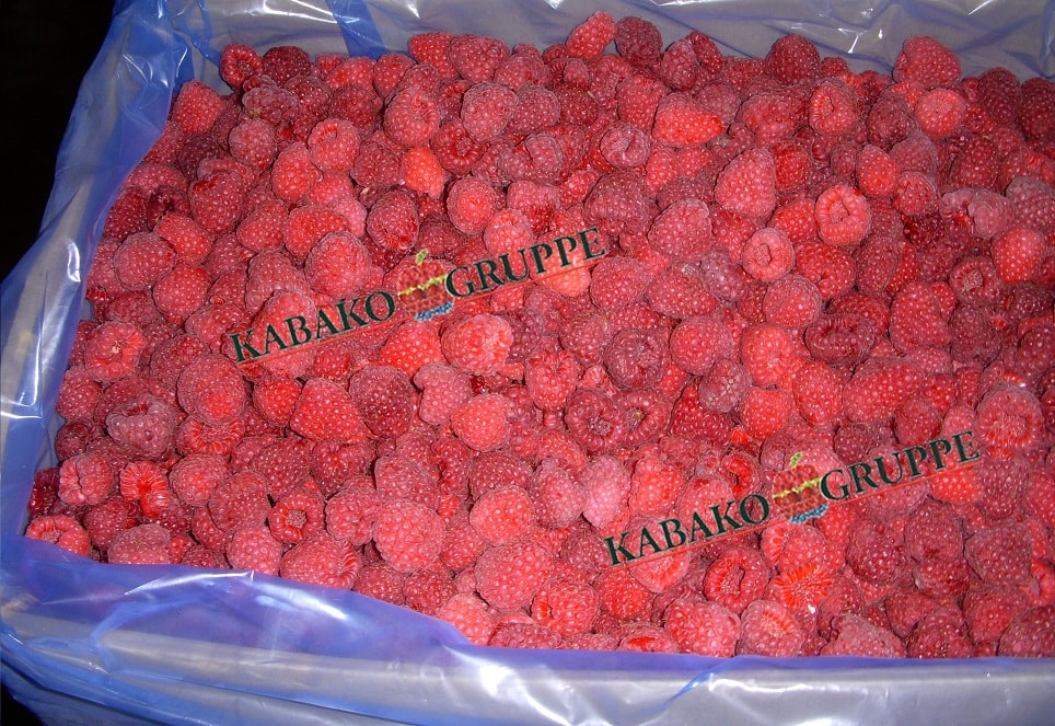 Frozen (IQF) Raspberries 31
